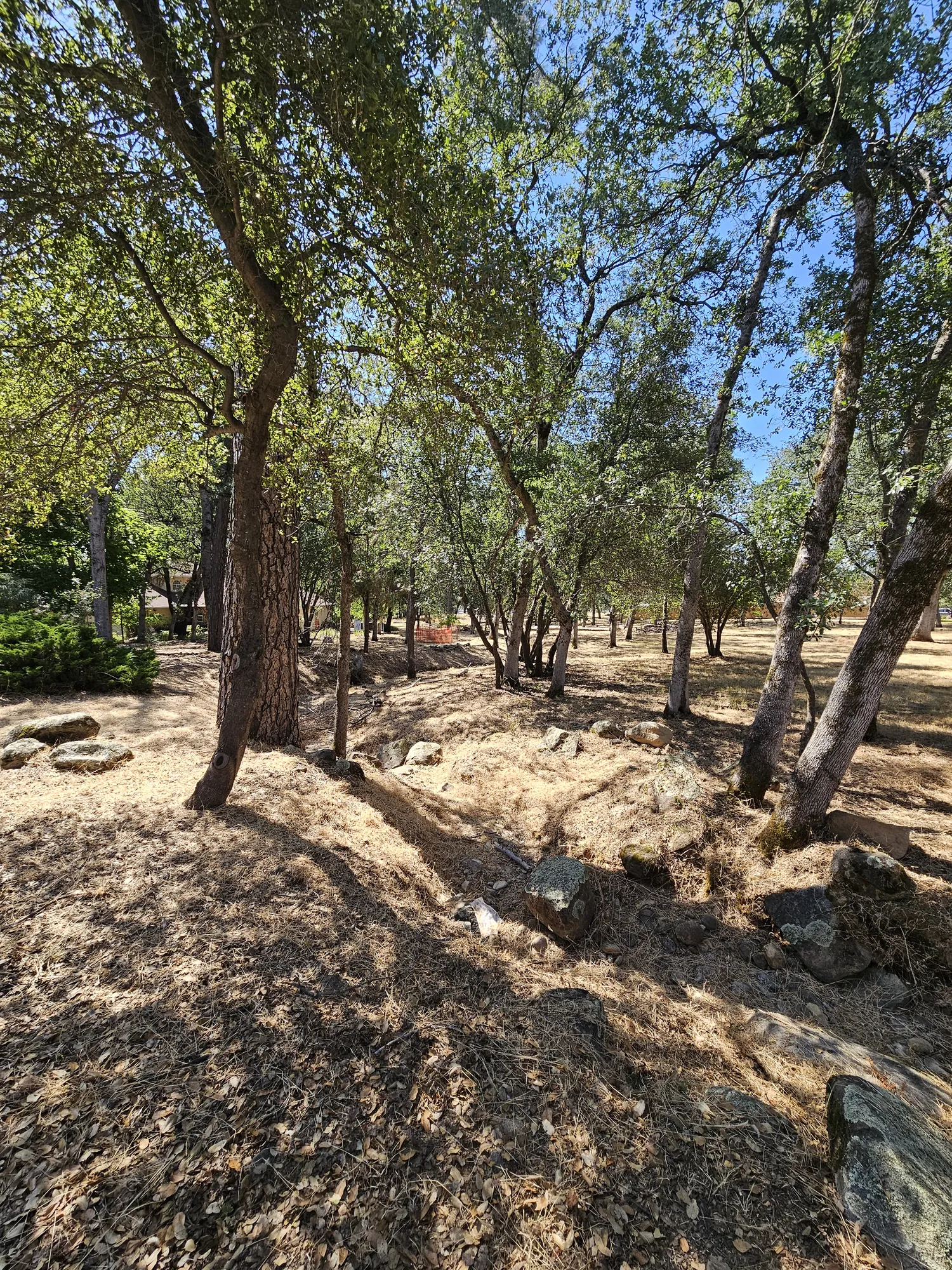 Acreage Management in Redding, CA