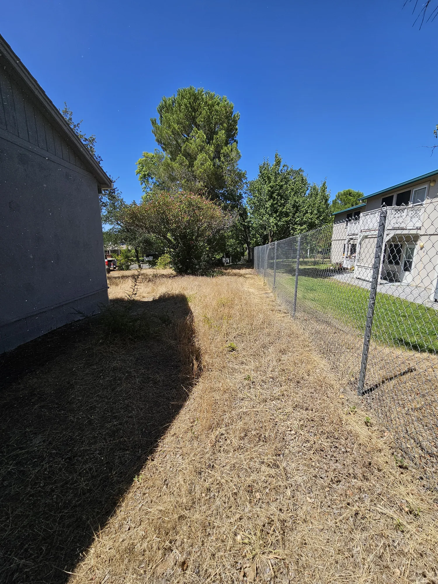 Fence Line Clearing in Redding, CA