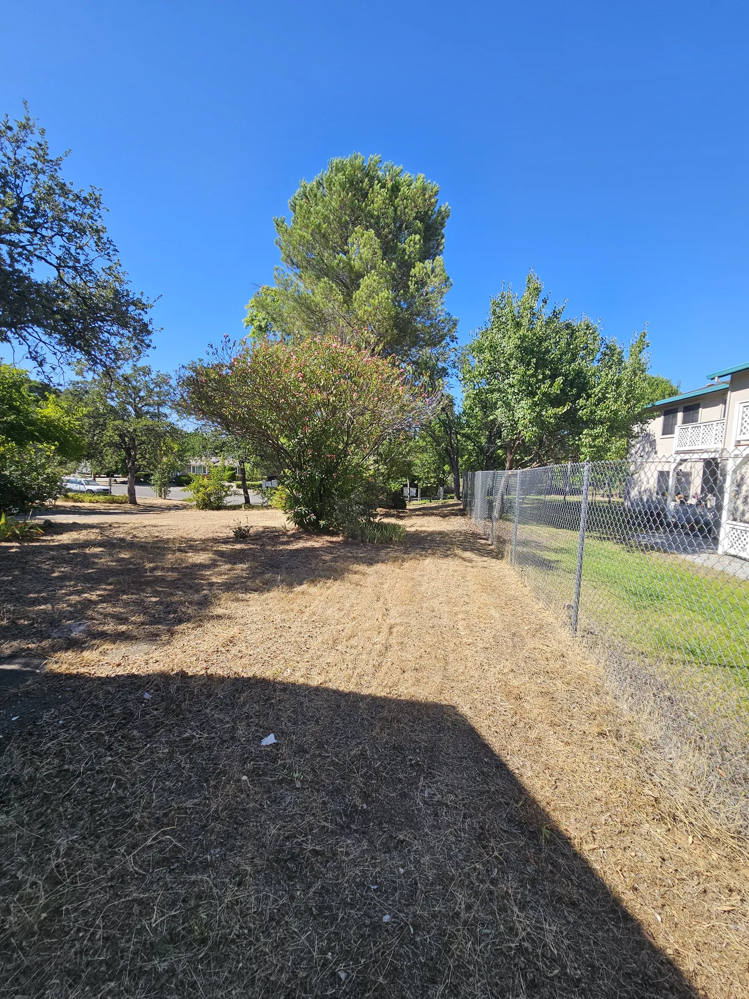Freshly cut strip of dry ground along a chain link fence with a mown lawn and building beyond