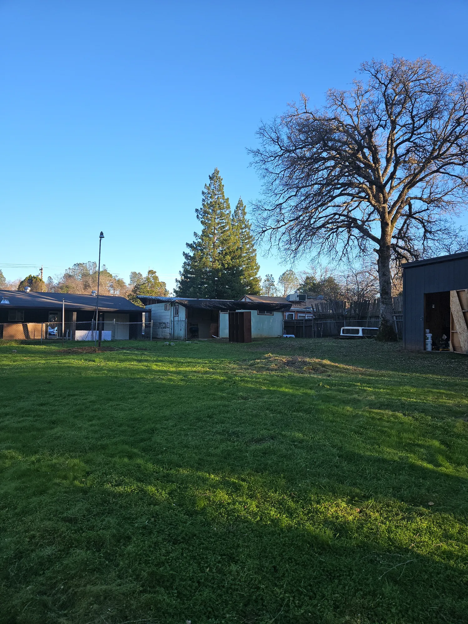 Vegetation & Acreage Management in Corning, CA