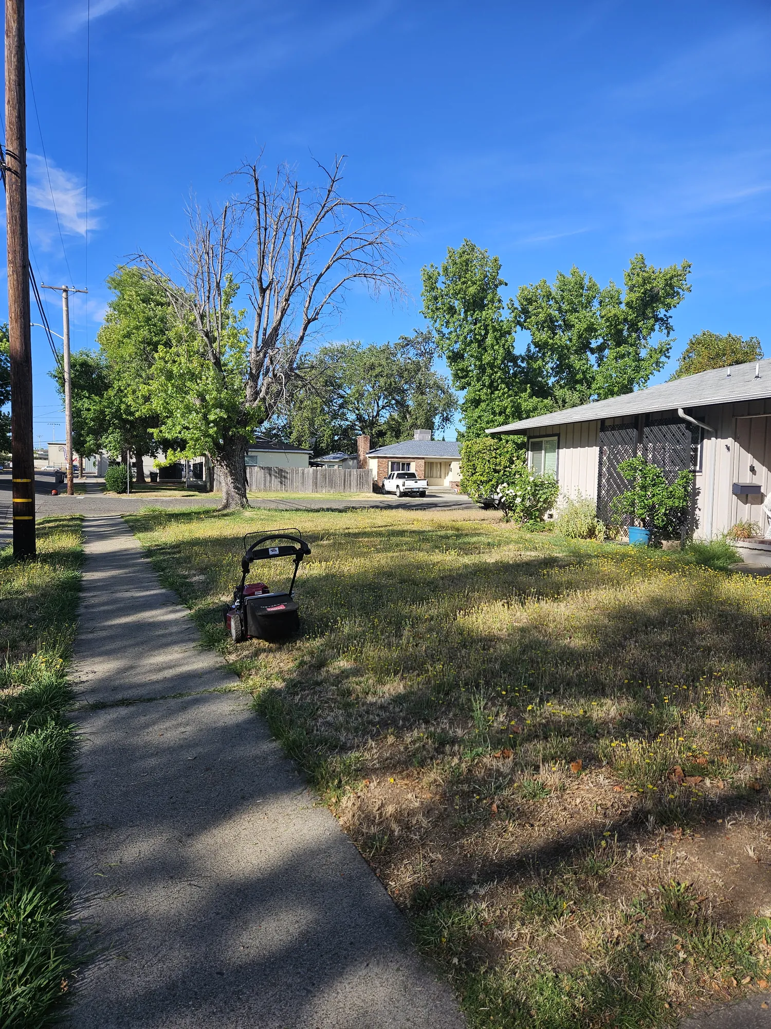 Roadside strip mowed clean along a residential sidewalk