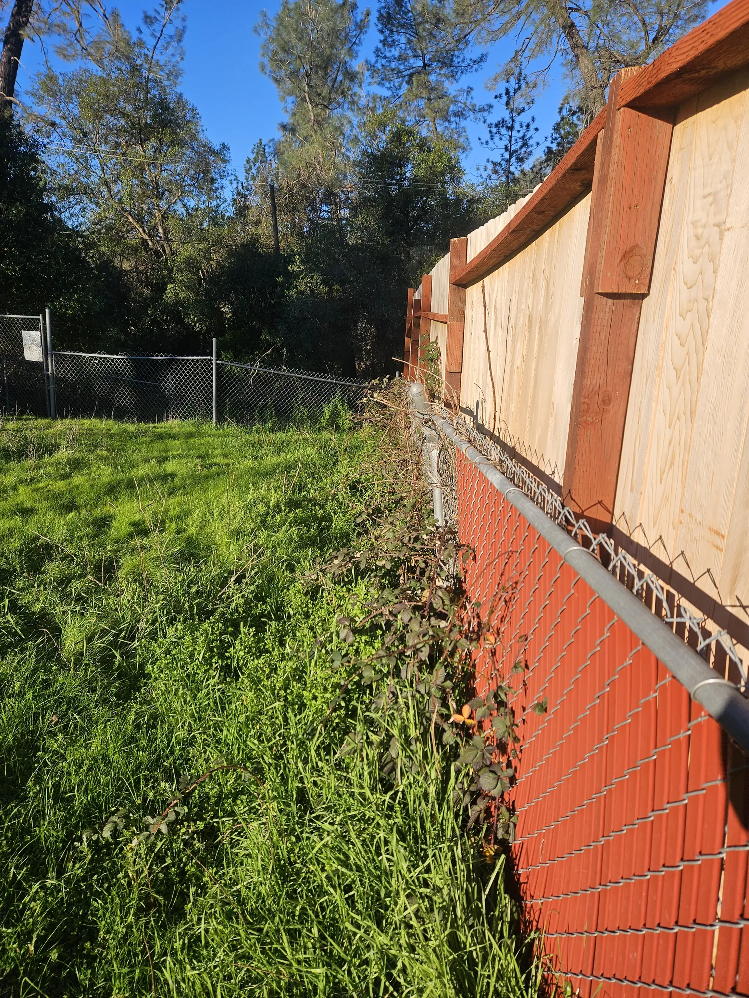 Fence Removal in Redding, CA