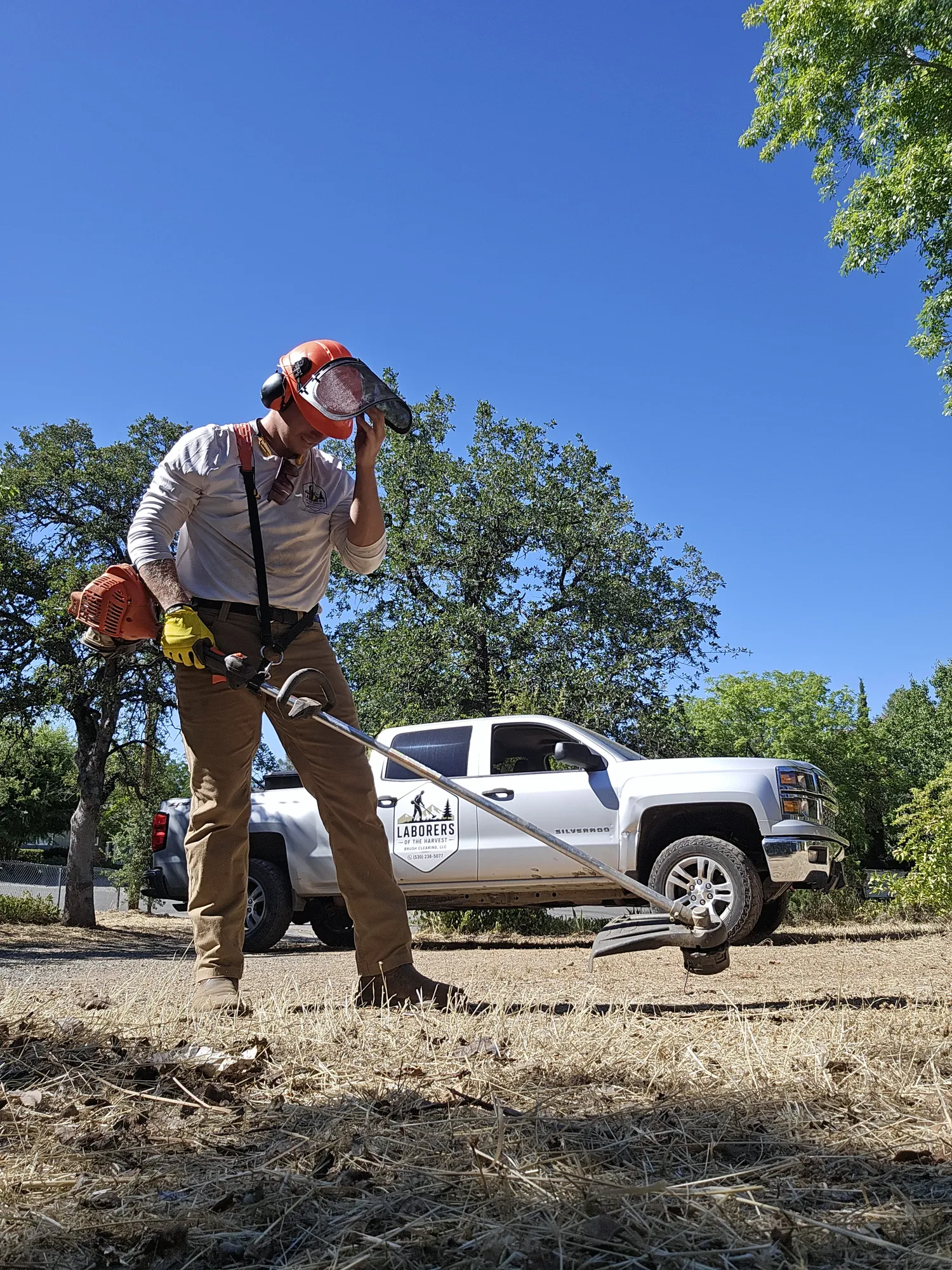 Crew member in safety gear cutting brush with a brush cutter
