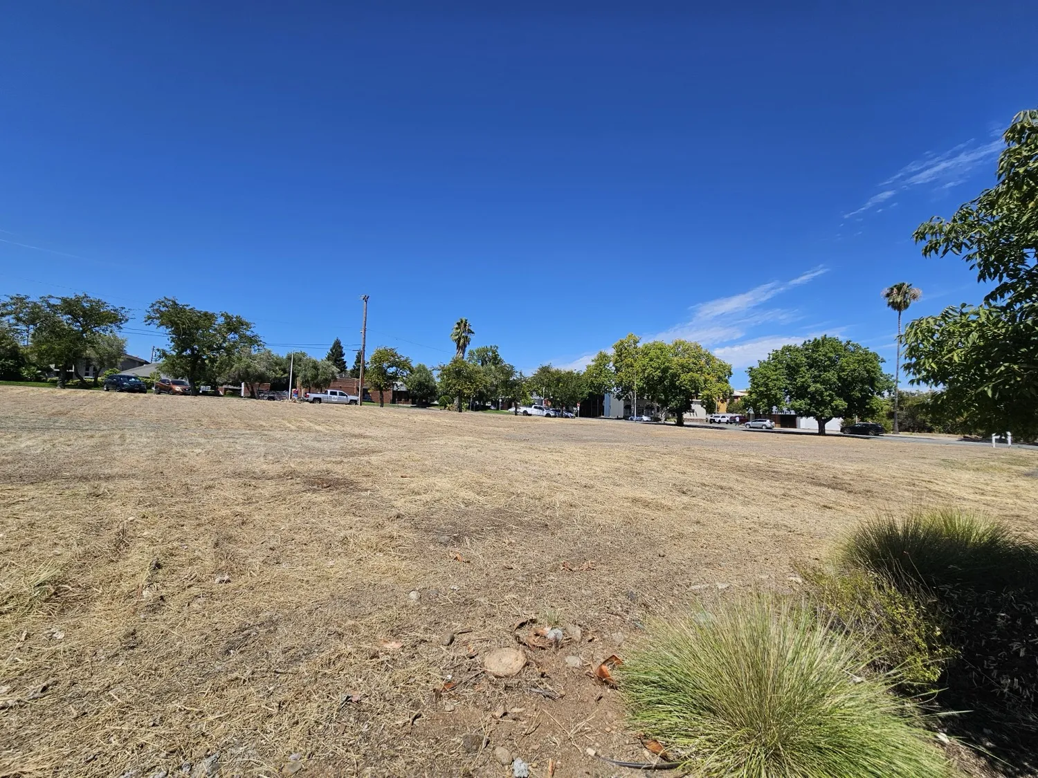 Vacant commercial parcel mowed low with the street behind it
