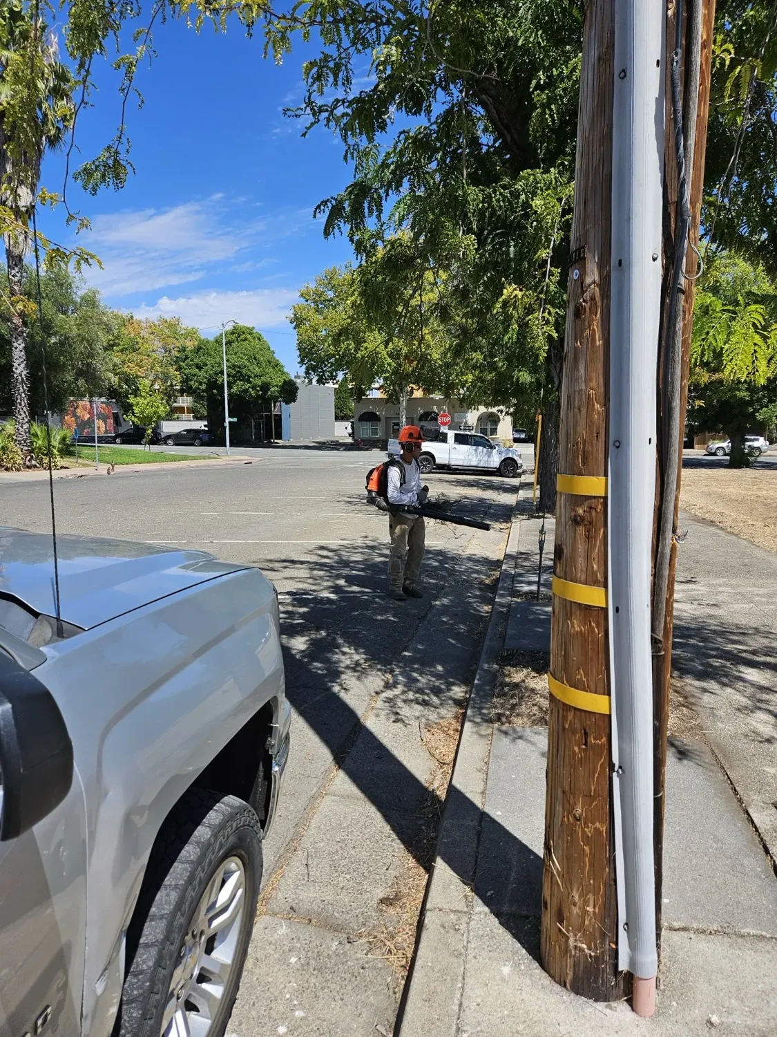 Crew member clearing a commercial street sidewalk with a backpack blower