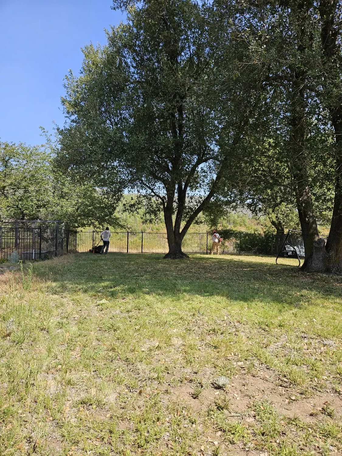 Our Services in Redding, CA