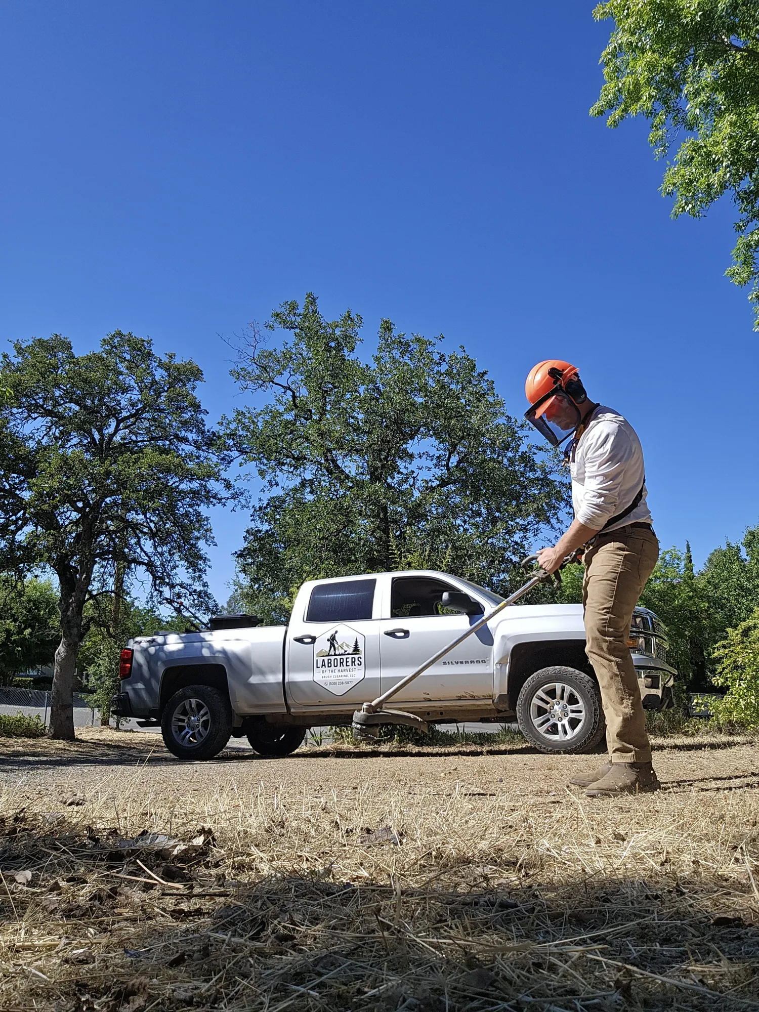 Crew member in a hard hat and face shield running a string-head brush cutter on bare dry ground beside a white work pickup under blue oaks